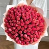 Букет из 101 коралловой розы (Кения)